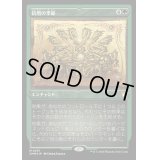 (エッチングFOIL)倍増の季節/Doubling Season《日本語》【CMM】