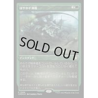 [EX+](エッチングFOIL)ぼやかす薄霧/Obscuring Haze《日本語》【CMM】