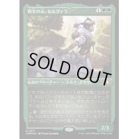 [EX+](エッチングFOIL)野生の心、セルヴァラ/Selvala, Heart of the Wilds《日本語》【CMM】