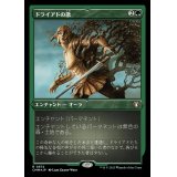 [EX+](エッチングFOIL)ドライアドの歌/Song of the Dryads《日本語》【CMM】
