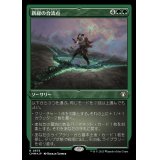 (エッチングFOIL)新緑の合流点/Verdant Confluence《日本語》【CMM】