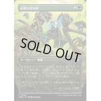 [EX+](FOIL)(フルアート)木霊の手の内/Kodama's Reach《日本語》【CMM】