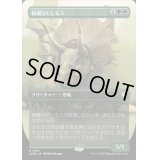 [EX+](フルアート)絢爛なビヒモス/Regal Behemoth《日本語》【CMM】