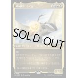 [EX+](エッチングFOIL)風の憤怒、カイカ/Kykar, Wind's Fury《日本語》【CMM】