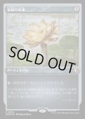 (エッチングFOIL)金粉の水蓮/Gilded Lotus《日本語》【CMM】