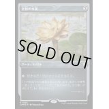 [EX+](エッチングFOIL)金粉の水蓮/Gilded Lotus《日本語》【CMM】