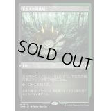 (エッチングFOIL)下生えの競技場/Undergrowth Stadium《日本語》【CMM】