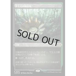 画像1: [EX+](エッチングFOIL)下生えの競技場/Undergrowth Stadium《日本語》【CMM】