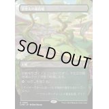 [EX+](フルアート)下生えの競技場/Undergrowth Stadium《日本語》【CMM】