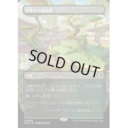 画像1: (FOIL)(フルアート)下生えの競技場/Undergrowth Stadium《日本語》【CMM】