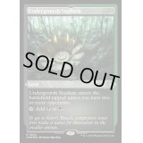 [EX+](エッチングFOIL)下生えの競技場/Undergrowth Stadium《英語》【CMM】