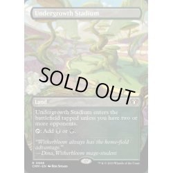 画像1: [EX+](FOIL)(フルアート)下生えの競技場/Undergrowth Stadium《英語》【CMM】