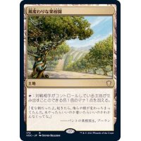 風変わりな果樹園/Exotic Orchard《日本語》【VOC】