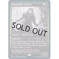 (FOIL)茨橋の追跡者/Briarbridge Tracker《英語》【DBL】