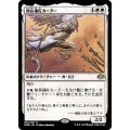 (FOIL)隊長補佐カーター/Lieutenant Kirtar《日本語》【DMR】