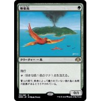 (FOIL)極楽鳥/Birds of Paradise《日本語》【DMR】