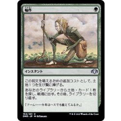 画像1: 輪作/Crop Rotation《日本語》【DMR】