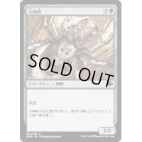 (FOIL)大蜘蛛/Giant Spider《日本語》【DMR】