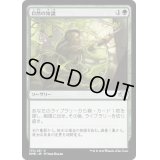 (FOIL)自然の知識/Nature's Lore《日本語》【DMR】