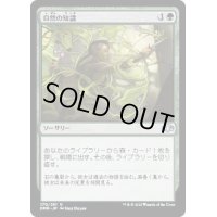 (FOIL)自然の知識/Nature's Lore《日本語》【DMR】