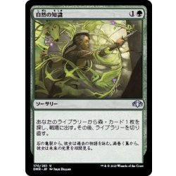 画像1: 自然の知識/Nature's Lore《日本語》【DMR】