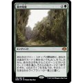 (FOIL)森の知恵/Sylvan Library《日本語》【DMR】