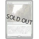 [EX](FOIL)森の知恵/Sylvan Library《日本語》【DMR】
