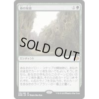 (FOIL)森の知恵/Sylvan Library《日本語》【DMR】