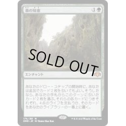 画像1: [EX](FOIL)森の知恵/Sylvan Library《日本語》【DMR】