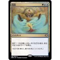 (FOIL)吸収/Absorb《日本語》【DMR】