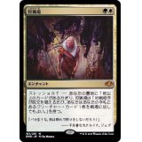 (FOIL)狩猟場/Hunting Grounds《日本語》【DMR】