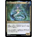 (FOIL)水底のドルイド、タトヨヴァ/Tatyova, Benthic Druid《日本語》【DMR】