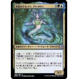 水底のドルイド、タトヨヴァ/Tatyova, Benthic Druid《日本語》【DMR】