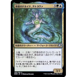 画像1: 水底のドルイド、タトヨヴァ/Tatyova, Benthic Druid《日本語》【DMR】