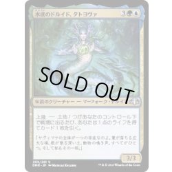 画像1: 水底のドルイド、タトヨヴァ/Tatyova, Benthic Druid《日本語》【DMR】
