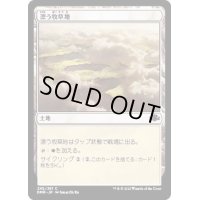 (FOIL)漂う牧草地/Drifting Meadow《日本語》【DMR】