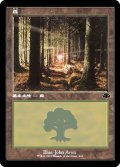 (旧枠仕様)(410)森/Forest《日本語》【DMR】
