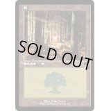 (FOIL)(旧枠仕様)(410)森/Forest《日本語》【DMR】