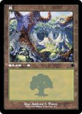 (FOIL)(旧枠仕様)(411)森/Forest《日本語》【DMR】