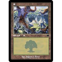 (FOIL)(旧枠仕様)(411)森/Forest《日本語》【DMR】