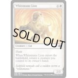 (FOIL)白たてがみのライオン/Whitemane Lion《英語》【DMR】