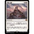 (FOIL)忍耐の試練/Test of Endurance《日本語》【DMR】