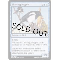 (FOIL)泥棒カササギ/Thieving Magpie《英語》【DMR】