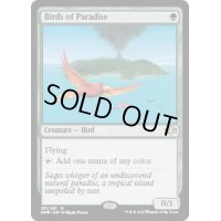 [EX+]極楽鳥/Birds of Paradise《英語》【DMR】