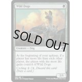 (FOIL)野生の犬/Wild Dogs《英語》【DMR】