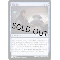 (FOIL)嘘か真か/Fact or Fiction《日本語》【DMR】