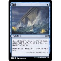 (FOIL)満潮/High Tide《日本語》【DMR】