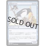 (FOIL)泥棒カササギ/Thieving Magpie《日本語》【DMR】