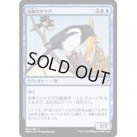 (FOIL)泥棒カササギ/Thieving Magpie《日本語》【DMR】
