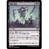戦慄の復活/Dread Return《日本語》【DMR】